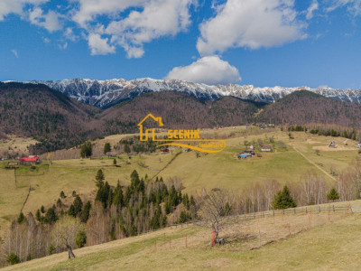 Sat Pestera, VIEW PIARTRA CRAIULUI, ANTECONTRACT!!!