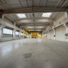 Hala industriala, langa mall Coresi, acces TIR, zona usor accesibila thumb 3