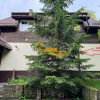 Moieciu, sat Cheia,  zona de poveste. Varianta schimb imobiliar Ilfov, Bucuresti thumb 4