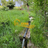 Moieciu, sat Cheia,  zona de poveste. Varianta schimb imobiliar Ilfov, Bucuresti thumb 13