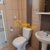 Green Valley, casa de inchiriat, loc de poveste!!! NU ESTE PET FRIENDLY! thumb 24
