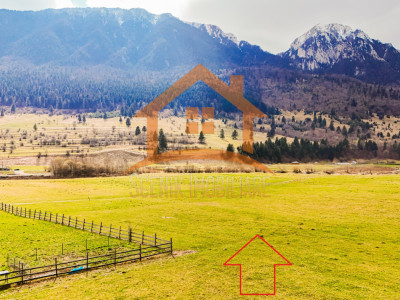 Zarnesti, str. Barsei, intravilan, priveliste Piatra Craiului, PUZ aprobat