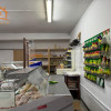 Spatiu comercial piata Tractorul,Avicod,actual magazin vanzare produse carne pui thumb 5