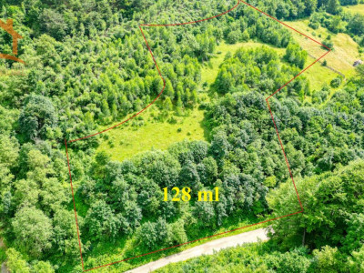 Investitie Smart in Moieciu, 3.1 ha, Panoramă 360 Bucegi - Piatra Craiului