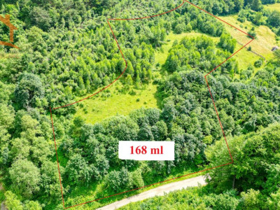 Investitie Smart in Moieciu, 3.1 ha, Panoramă 360 Bucegi - Piatra Craiului